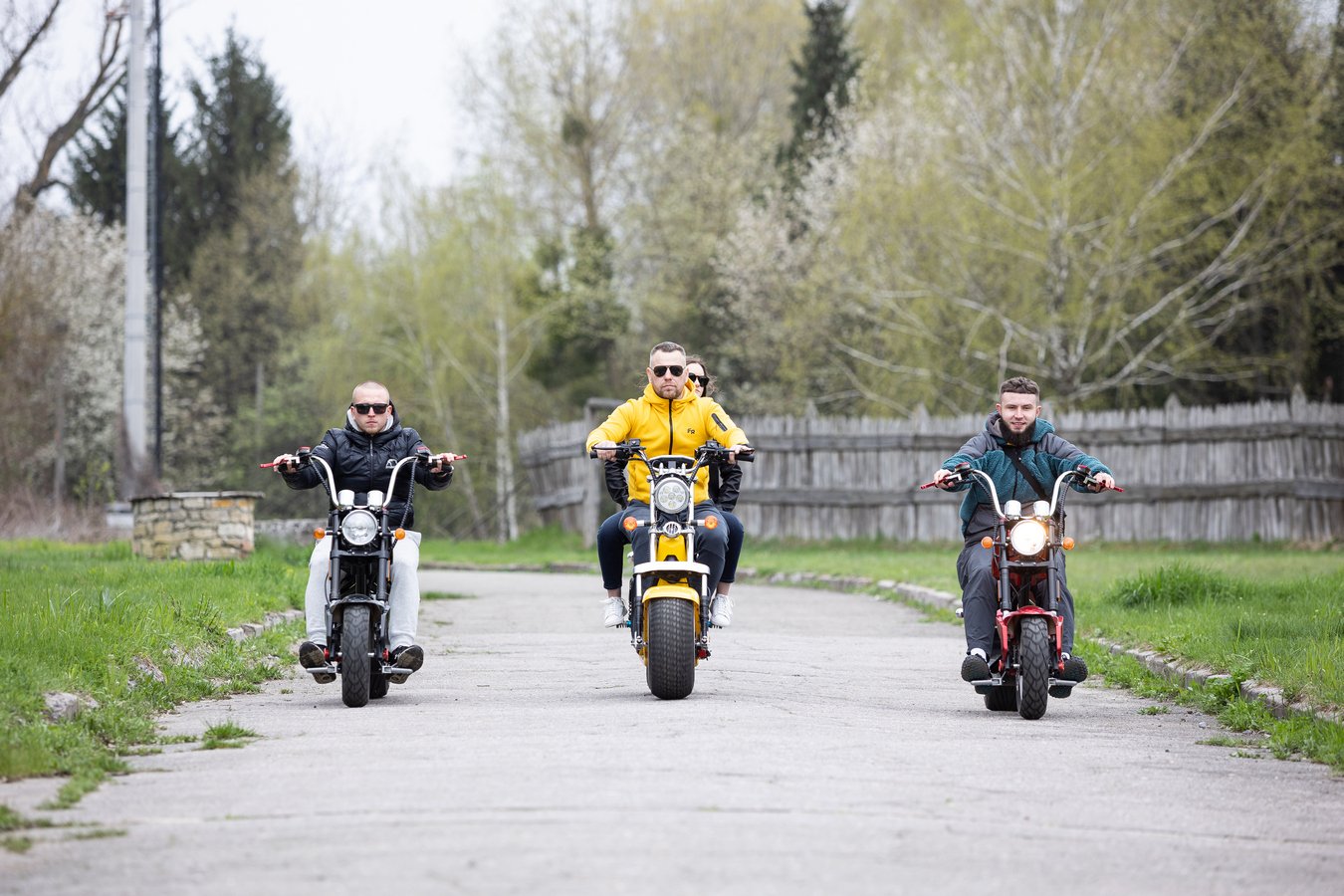 e-bikes_Pyrohiv-03.jpg