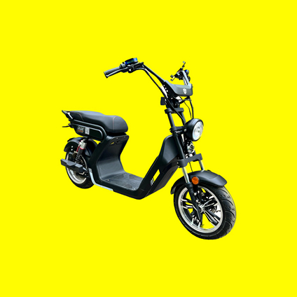 Electric bike rental